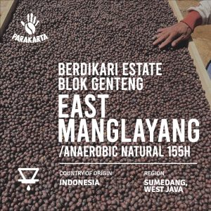 Berdikari Estate East Manglayang - Anaerobic Natural 155H - 150g - Filter