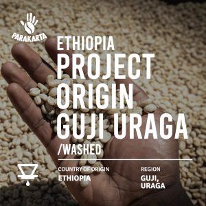 Ethiopia Guji Uraga - Washed - 150g - For Filter