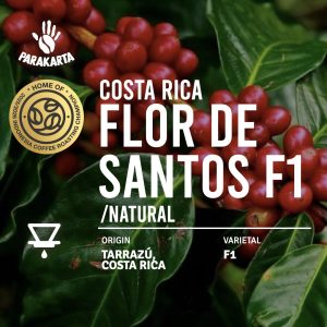 Costa Rica - Flor De Santos F1 - 150gr - For Filter