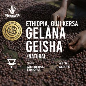 Ethiopia - Gelana Geisha - 150gr - For Filter