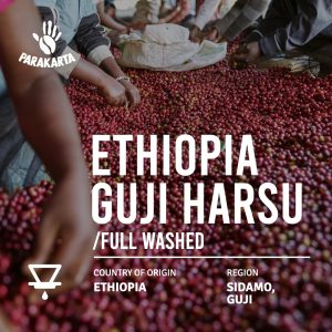 Ethiopia - Guji Harsu - Washed - 150gr - For Filter