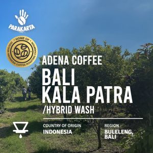 Adena Coffee Bali Kala Prata - Hybrid Washed - 150gr - For Filter
