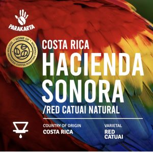 Costa Rica - Hacienda Sonora - Red Catuai Natural - 150gr - For Filter