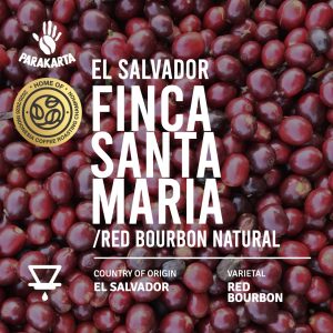 El Savador - Finca Santa Maria - Red Bourbon Natural - 150gr - For Filter